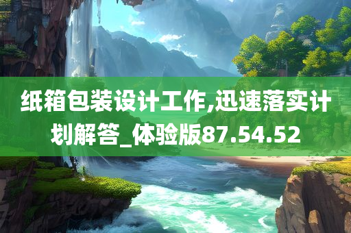 纸箱包装设计工作,迅速落实计划解答_体验版87.54.52