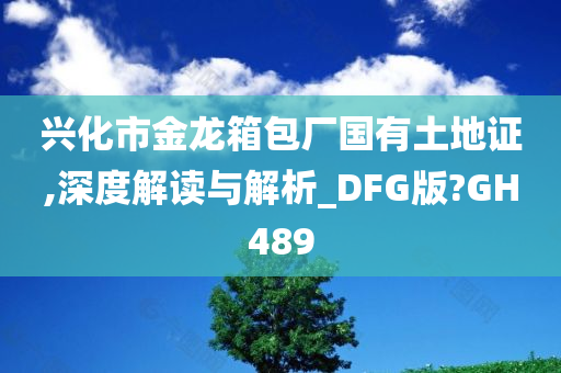 兴化市金龙箱包厂国有土地证,深度解读与解析_DFG版?GH489