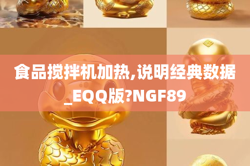 食品搅拌机加热,说明经典数据_EQQ版?NGF89