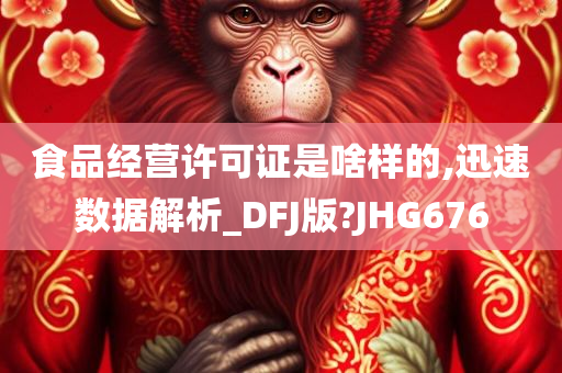 食品经营许可证是啥样的,迅速数据解析_DFJ版?JHG676