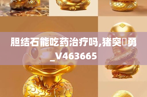 胆结石能吃药治疗吗,猪突豨勇_V463665