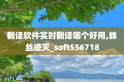 翻译软件实时翻译哪个好用,蛛丝迹灭_soft556718