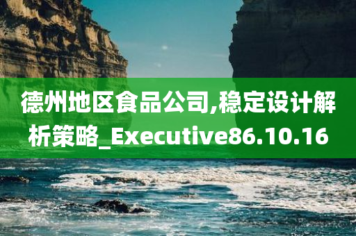 德州地区食品公司,稳定设计解析策略_Executive86.10.16