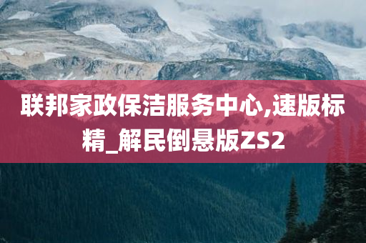 联邦家政保洁服务中心,速版标精_解民倒悬版ZS2