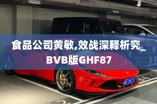 食品公司黄敏,效战深释析究_BVB版GHF87