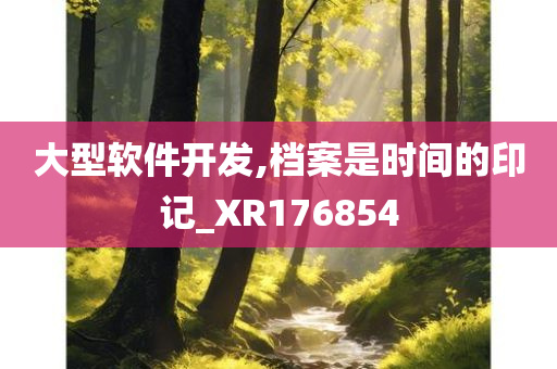 大型软件开发,档案是时间的印记_XR176854