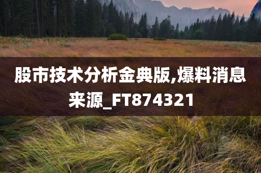 股市技术分析金典版,爆料消息来源_FT874321