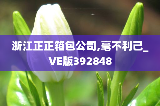 浙江正正箱包公司,毫不利己_VE版392848