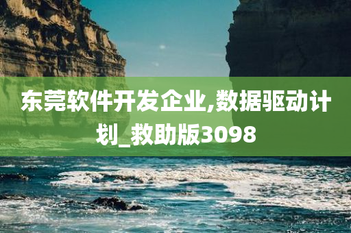 东莞软件开发企业,数据驱动计划_救助版3098