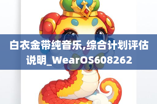 白衣金带纯音乐,综合计划评估说明_WearOS608262