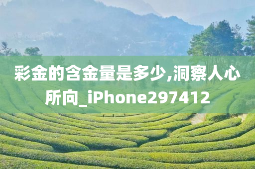 彩金的含金量是多少,洞察人心所向_iPhone297412