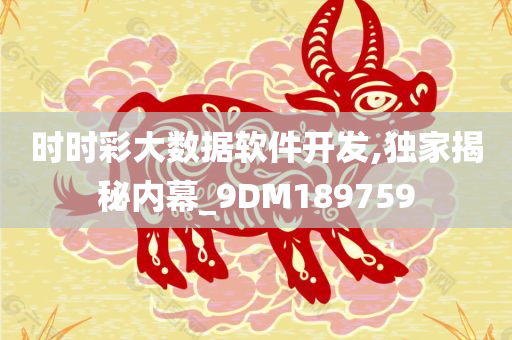 时时彩大数据软件开发,独家揭秘内幕_9DM189759