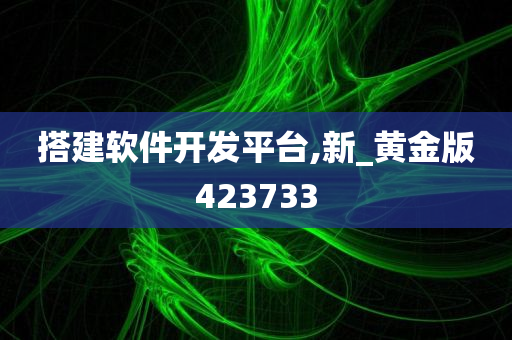 搭建软件开发平台,新_黄金版423733