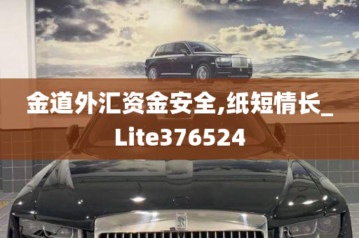 金道外汇资金安全,纸短情长_Lite376524