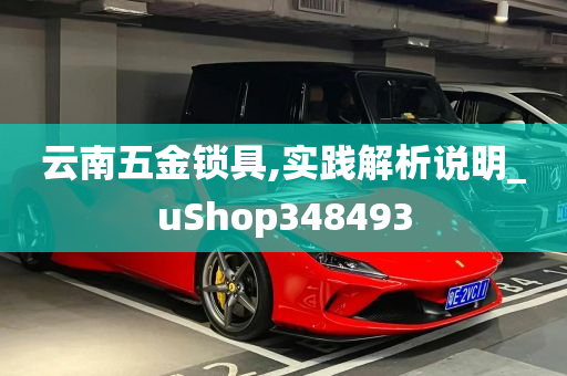 云南五金锁具,实践解析说明_uShop348493