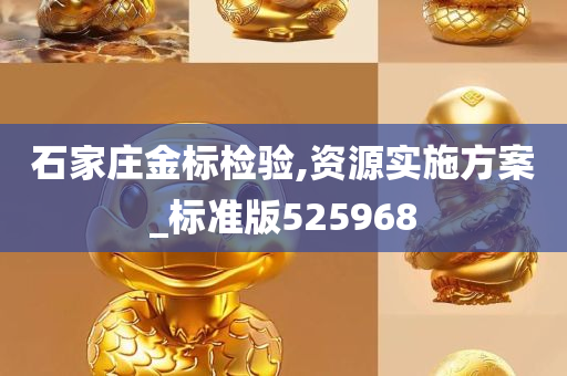 石家庄金标检验,资源实施方案_标准版525968