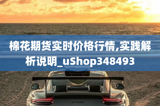 棉花期货实时价格行情,实践解析说明_uShop348493