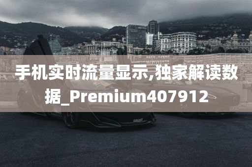 手机实时流量显示,独家解读数据_Premium407912