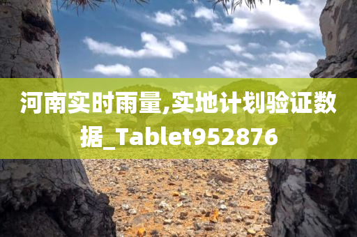 河南实时雨量,实地计划验证数据_Tablet952876