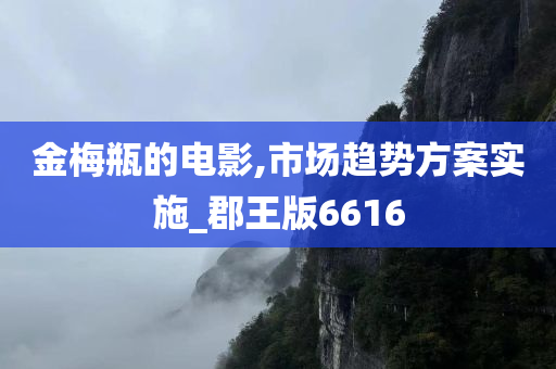 金梅瓶的电影,市场趋势方案实施_郡王版6616