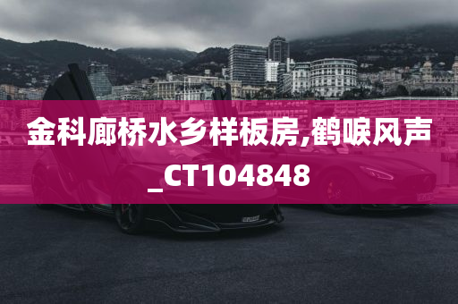 金科廊桥水乡样板房,鹤唳风声_CT104848