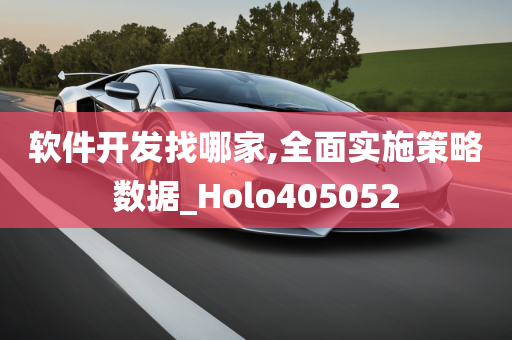 软件开发找哪家,全面实施策略数据_Holo405052