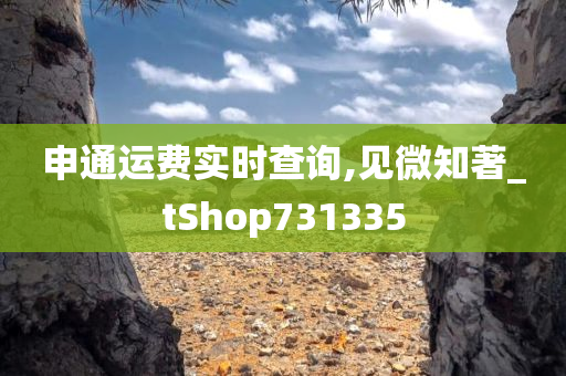 申通运费实时查询,见微知著_tShop731335