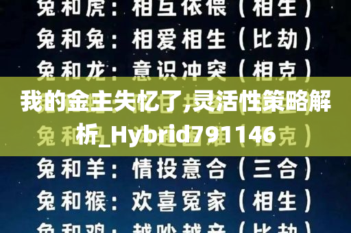 我的金主失忆了,灵活性策略解析_Hybrid791146