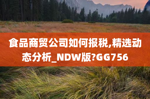 食品商贸公司如何报税,精选动态分析_NDW版?GG756