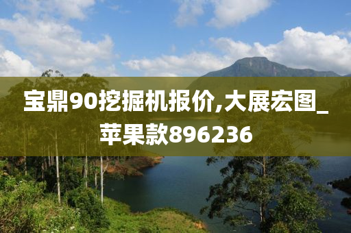 宝鼎90挖掘机报价,大展宏图_苹果款896236