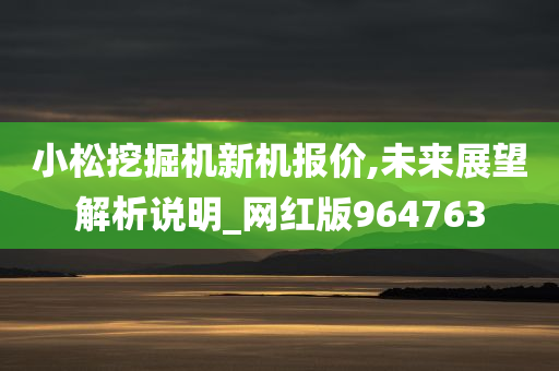 小松挖掘机新机报价,未来展望解析说明_网红版964763