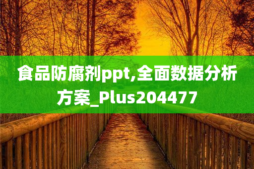 食品防腐剂ppt,全面数据分析方案_Plus204477