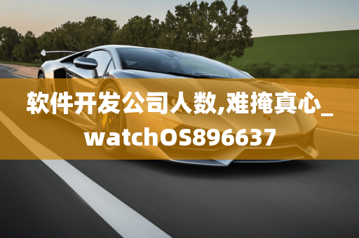 软件开发公司人数,难掩真心_watchOS896637