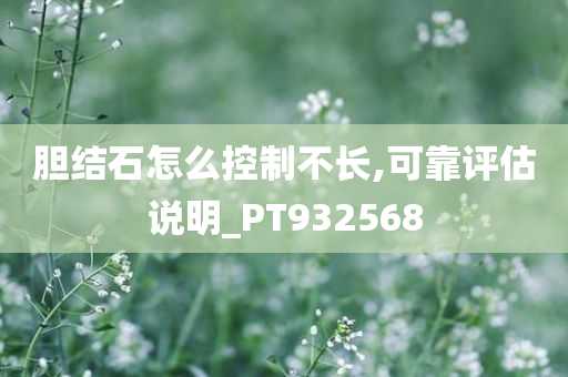 胆结石怎么控制不长,可靠评估说明_PT932568