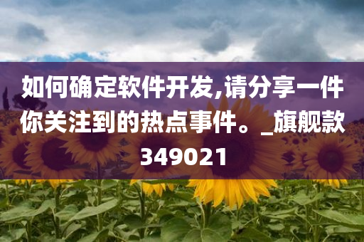 如何确定软件开发,请分享一件你关注到的热点事件。_旗舰款349021