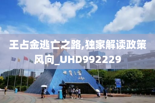 王占金逃亡之路,独家解读政策风向_UHD992229