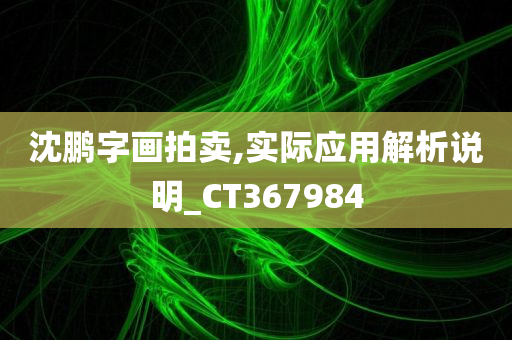 沈鹏字画拍卖,实际应用解析说明_CT367984