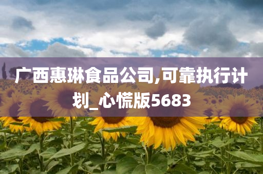 广西惠琳食品公司,可靠执行计划_心慌版5683