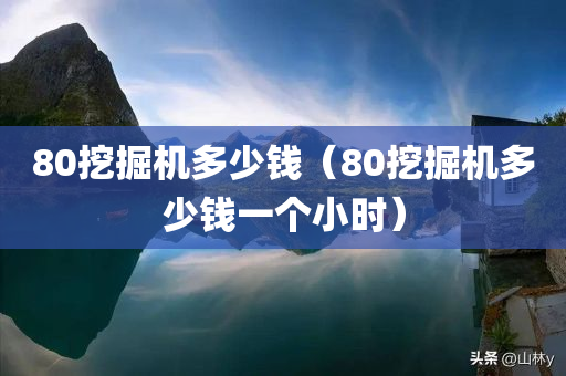 80挖掘机多少钱（80挖掘机多少钱一个小时）