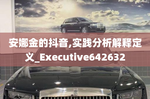 安娜金的抖音,实践分析解释定义_Executive642632