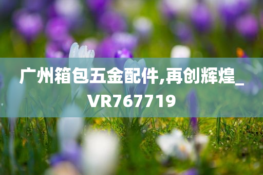 广州箱包五金配件,再创辉煌_VR767719