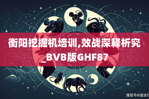 衡阳挖掘机培训,效战深释析究_BVB版GHF87