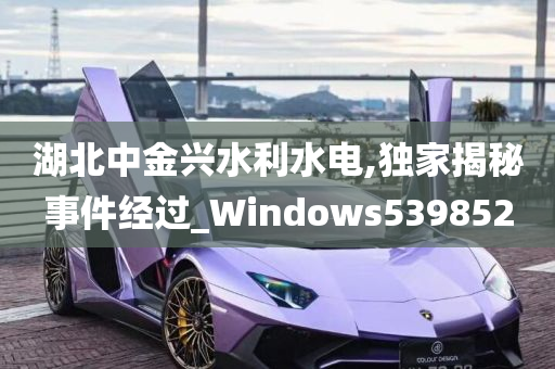 湖北中金兴水利水电,独家揭秘事件经过_Windows539852