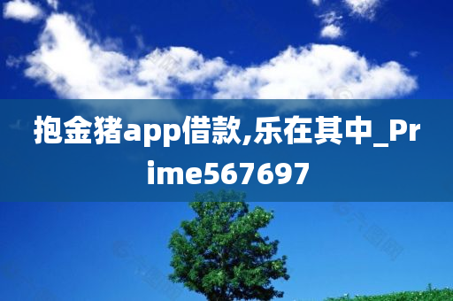 抱金猪app借款,乐在其中_Prime567697