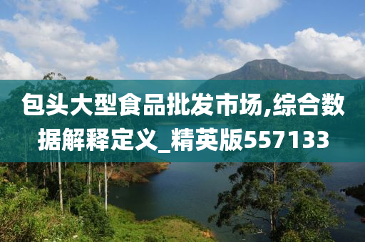 包头大型食品批发市场,综合数据解释定义_精英版557133