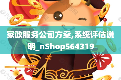 家政服务公司方案,系统评估说明_nShop564319