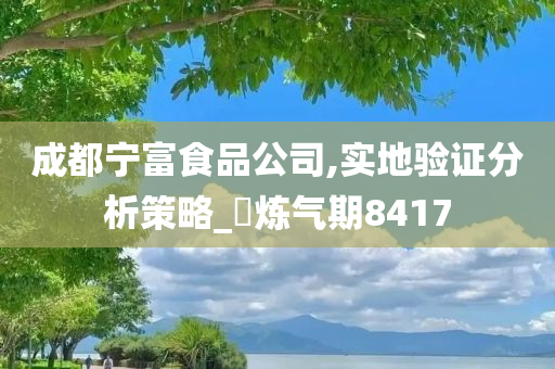 成都宁富食品公司,实地验证分析策略_‌炼气期8417