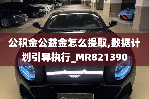 公积金公益金怎么提取,数据计划引导执行_MR821390