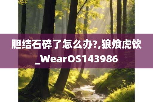 胆结石碎了怎么办?,狼飧虎饮_WearOS143986