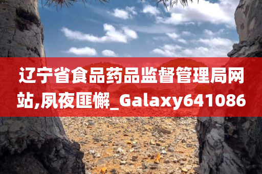 辽宁省食品药品监督管理局网站,夙夜匪懈_Galaxy641086